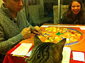 Even the cat wants to join the fun